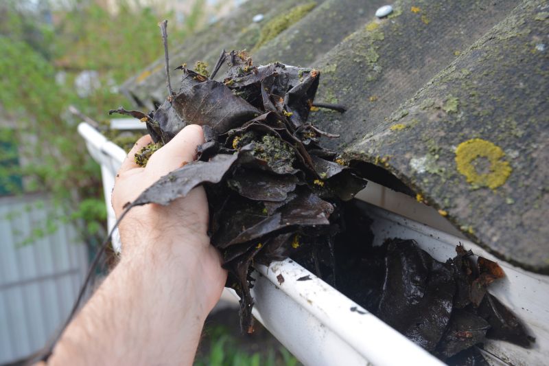 Clogged Gutter Clearing in Longmont, CO