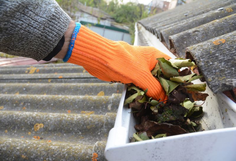 Clogged Gutter Clearing in Annapolis, MD