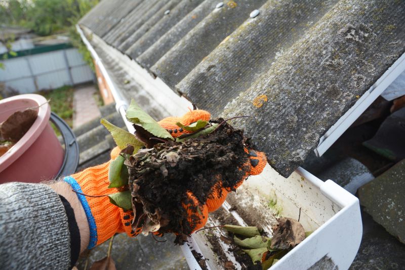 Gutter Leaf Clearing in Bergen County, NJ